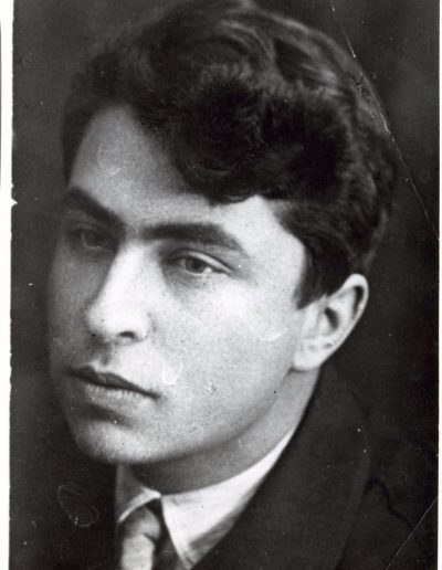 Close-up portrait of a young man with dark hair wearing a suitcoat, collared shirt and tie with a serious expression